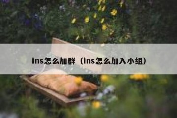 ins怎么加群（ins怎么加入小组）