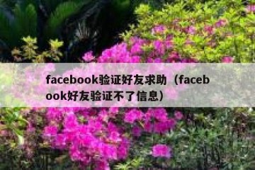 facebook验证好友求助（facebook好友验证不了信息）