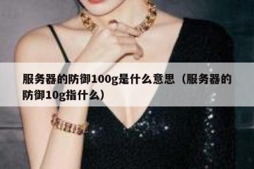 服务器的防御100g是什么意思（服务器的防御10g指什么）