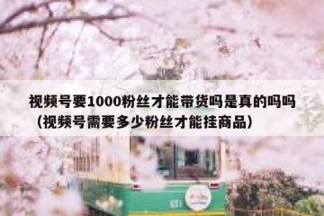 视频号要1000粉丝才能带货吗是真的吗吗（视频号需要多少粉丝才能挂商品）