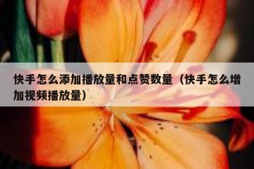 快手怎么添加播放量和点赞数量（快手怎么增加视频播放量）