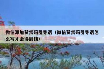 微信添加赞赏码引导语（微信赞赏码引导语怎么写才会得到钱）