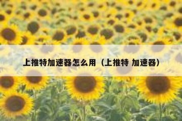 上推特加速器怎么用（上推特 加速器）