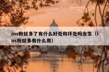 ins粉丝多了有什么好处和坏处吗女生（ins粉丝多有什么用）