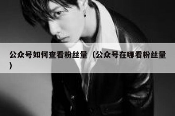 公众号如何查看粉丝量（公众号在哪看粉丝量）