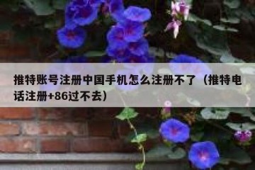 推特账号注册中国手机怎么注册不了（推特电话注册+86过不去）