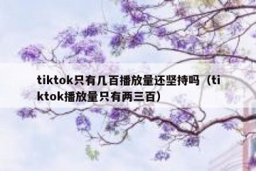 tiktok只有几百播放量还坚持吗（tiktok播放量只有两三百）