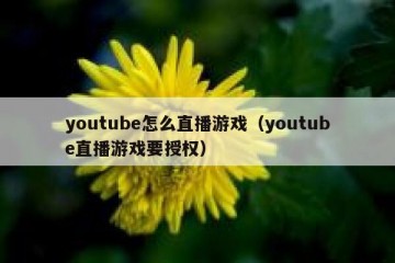 youtube怎么直播游戏（youtube直播游戏要授权）