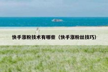 快手涨粉技术有哪些（快手涨粉丝技巧）