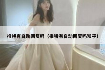 推特有自动回复吗（推特有自动回复吗知乎）