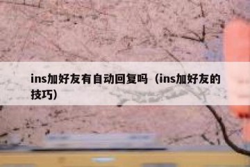 ins加好友有自动回复吗（ins加好友的技巧）