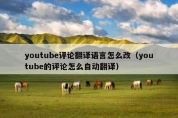 youtube评论翻译语言怎么改（youtube的评论怎么自动翻译）