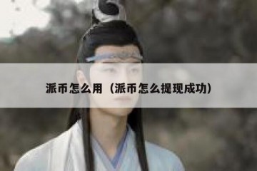 派币怎么用（派币怎么提现成功）