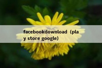 facebookdownload（play store google）