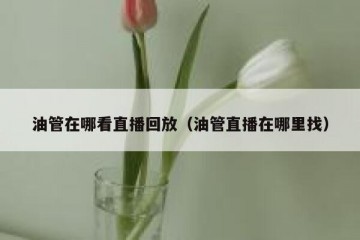 油管在哪看直播回放（油管直播在哪里找）