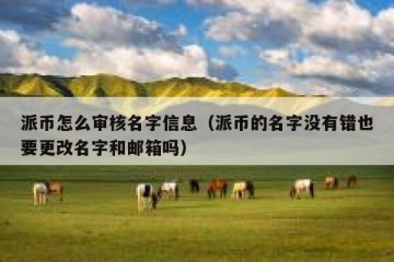 派币怎么审核名字信息（派币的名字没有错也要更改名字和邮箱吗）
