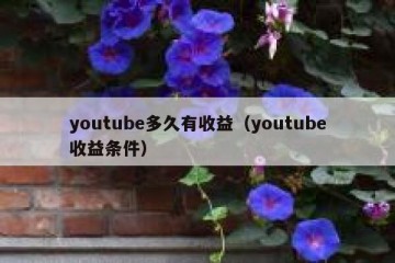 youtube多久有收益（youtube收益条件）
