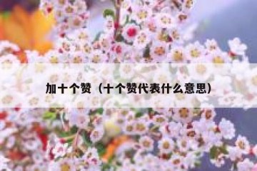 加十个赞（十个赞代表什么意思）