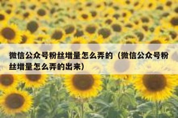 微信公众号粉丝增量怎么弄的（微信公众号粉丝增量怎么弄的出来）
