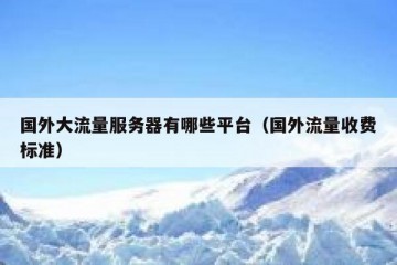 国外大流量服务器有哪些平台（国外流量收费标准）