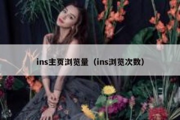ins主页浏览量（ins浏览次数）