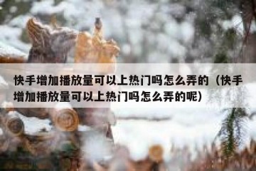 快手增加播放量可以上热门吗怎么弄的（快手增加播放量可以上热门吗怎么弄的呢）