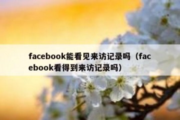 facebook能看见来访记录吗（facebook看得到来访记录吗）
