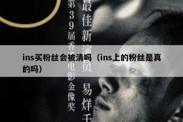 ins买粉丝会被清吗（ins上的粉丝是真的吗）
