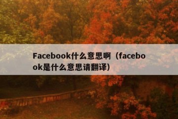 Facebook什么意思啊（facebook是什么意思请翻译）