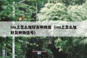 ins上怎么加好友啊微信（ins上怎么加好友啊微信号）