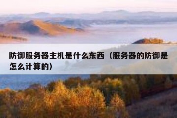 防御服务器主机是什么东西（服务器的防御是怎么计算的）