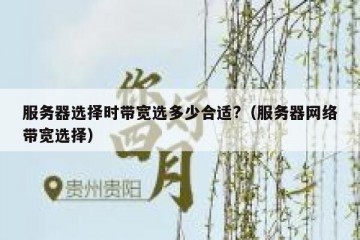 服务器选择时带宽选多少合适?（服务器网络带宽选择）