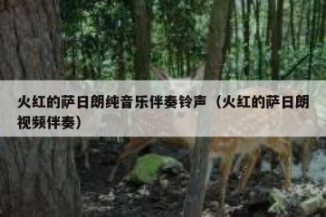 火红的萨日朗纯音乐伴奏铃声（火红的萨日朗视频伴奏）