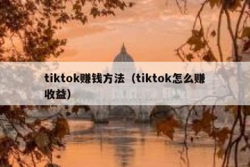 tiktok赚钱方法（tiktok怎么赚收益）