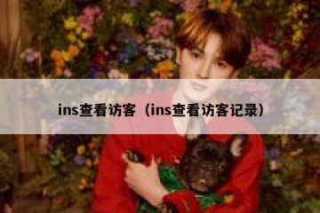 ins查看访客（ins查看访客记录）