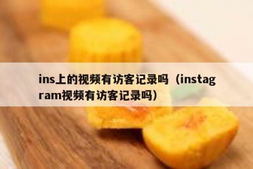 ins上的视频有访客记录吗（instagram视频有访客记录吗）
