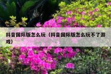 抖音国际版怎么玩（抖音国际版怎么玩不了游戏）