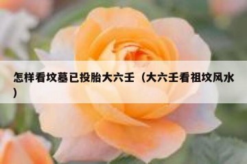 怎样看坟墓已投胎大六壬（大六壬看祖坟风水）