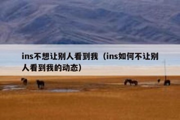 ins不想让别人看到我（ins如何不让别人看到我的动态）