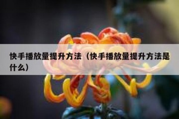 快手播放量提升方法（快手播放量提升方法是什么）