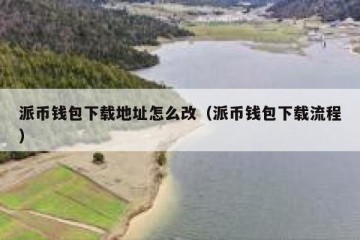 派币钱包下载地址怎么改（派币钱包下载流程）