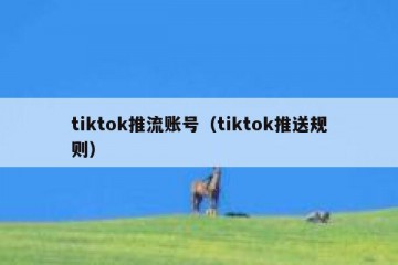 tiktok推流账号（tiktok推送规则）