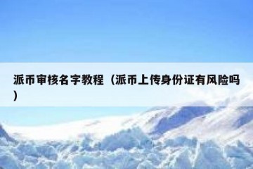 派币审核名字教程（派币上传身份证有风险吗）