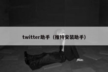 twitter助手（推特安装助手）