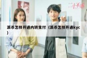 派币怎样开通内转支付（派币怎样开通kyc）