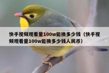 快手视频观看量100w能换多少钱（快手视频观看量100w能换多少钱人民币）