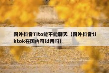 国外抖音Tito能不能聊天（国外抖音tiktok在国内可以用吗）