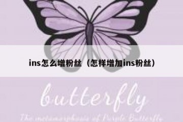 ins怎么增粉丝（怎样增加ins粉丝）