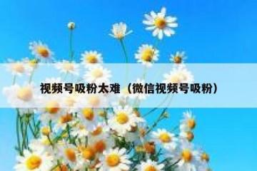 视频号吸粉太难（微信视频号吸粉）