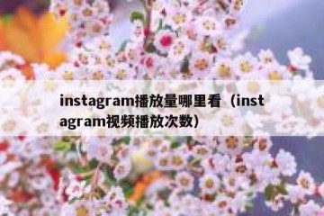 instagram播放量哪里看（instagram视频播放次数）